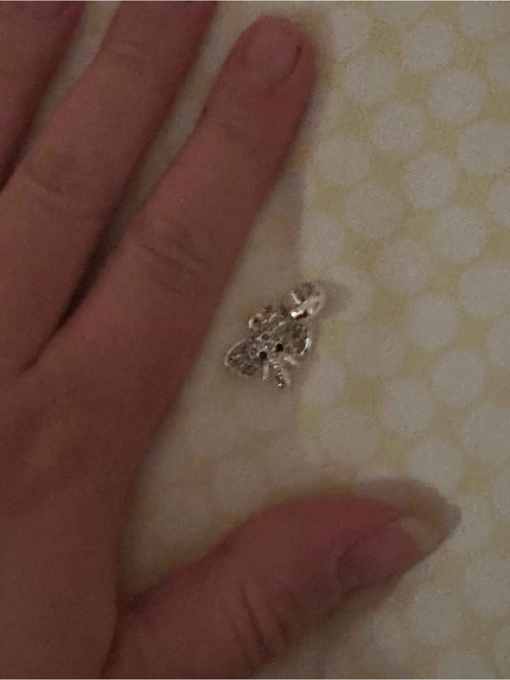 Silver Elephant Charm Bracelet Accent - Silver